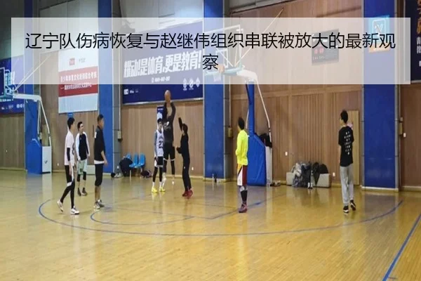 辽宁队伤病恢复与赵继伟组织串联被放大的最新观察 | odsports